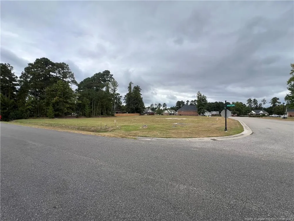 Wesley Pines Road Lumberton, NC 28358
