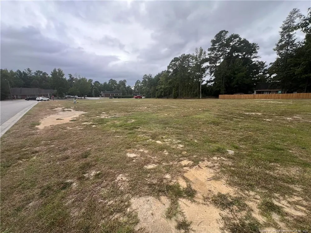 Wesley Pines Road Lumberton, NC 28358