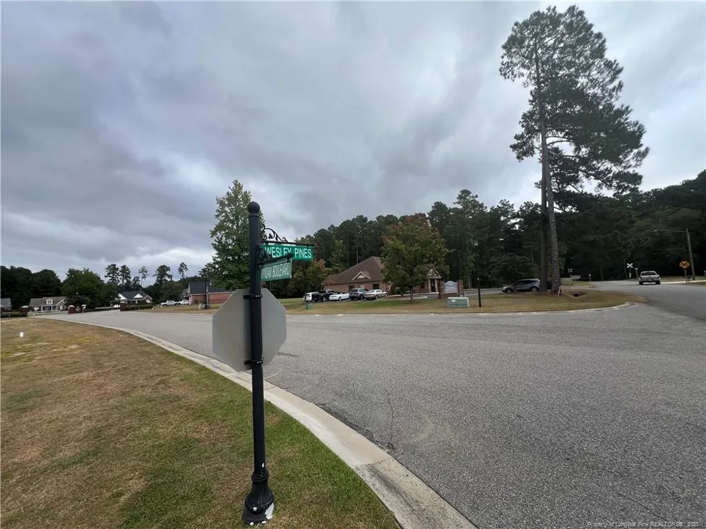 Wesley Pines Road Lumberton, NC 28358
