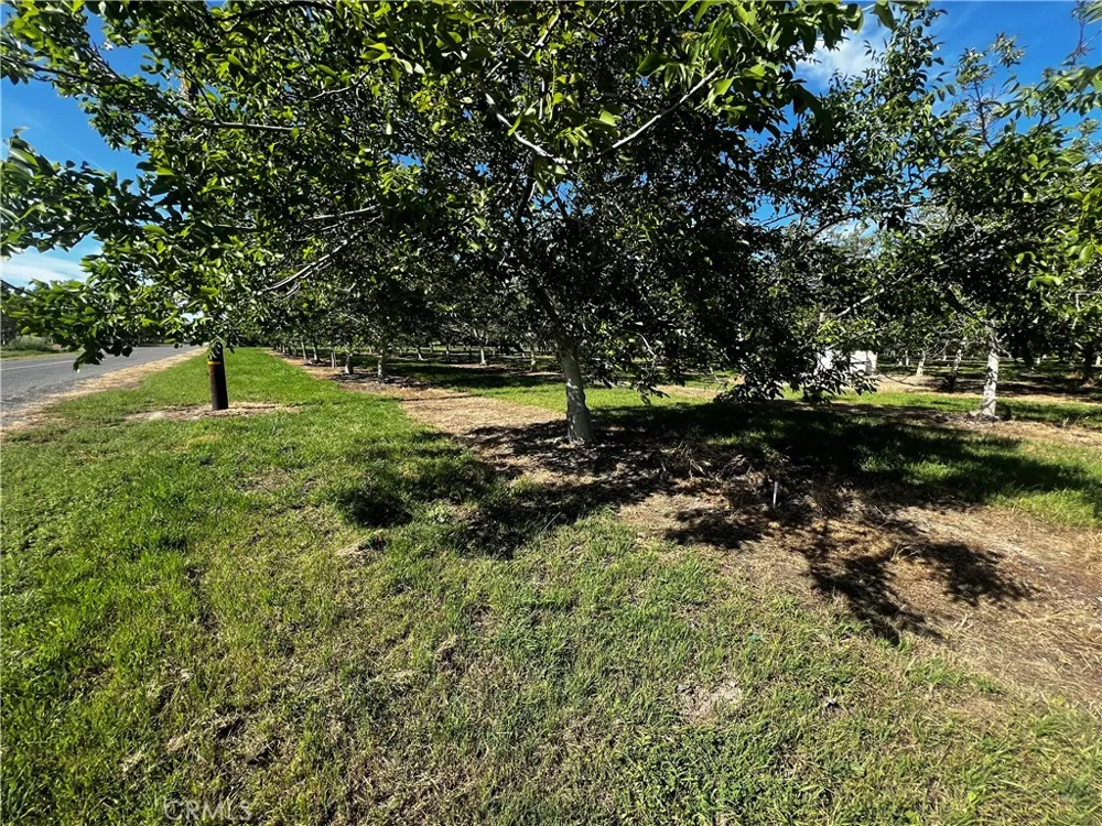 4180 COUNTY 203 ROAD Hamilton City, CA 95951