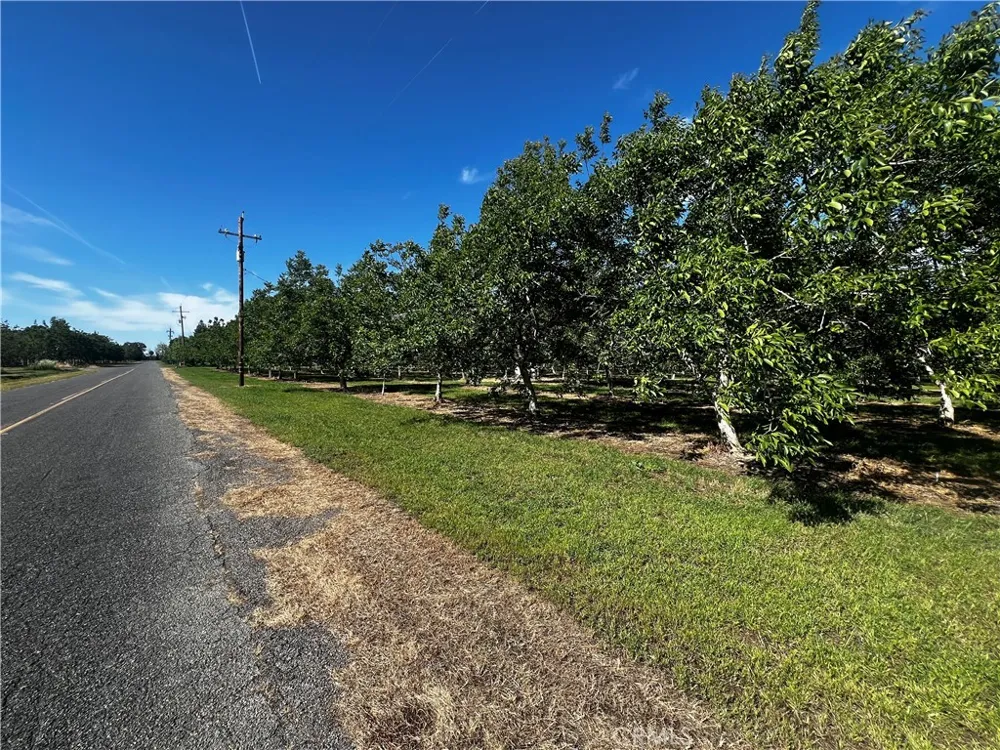 4180 COUNTY 203 ROAD Hamilton City, CA 95951