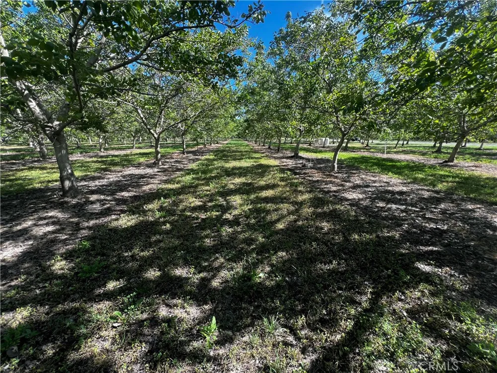 4180 COUNTY 203 ROAD Hamilton City, CA 95951