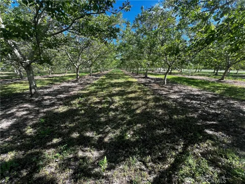 4180 COUNTY 203 ROAD