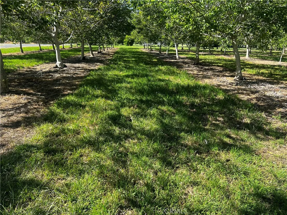4180 COUNTY 203 ROAD Hamilton City, CA 95951