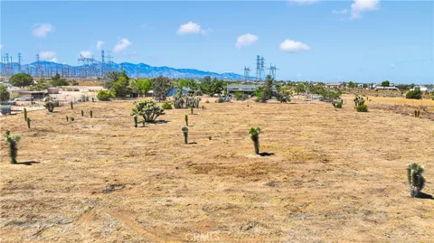 Bandicoot Trail