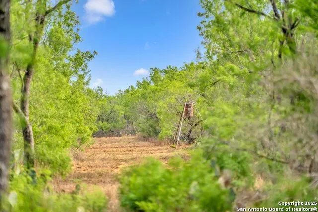 2654 Matthews Ranch Road Dilley, TX 78017