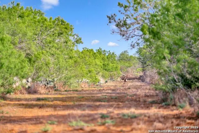 2654 Matthews Ranch Road Dilley, TX 78017