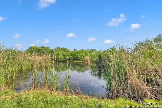 2654 Matthews Ranch Road Dilley, TX 78017