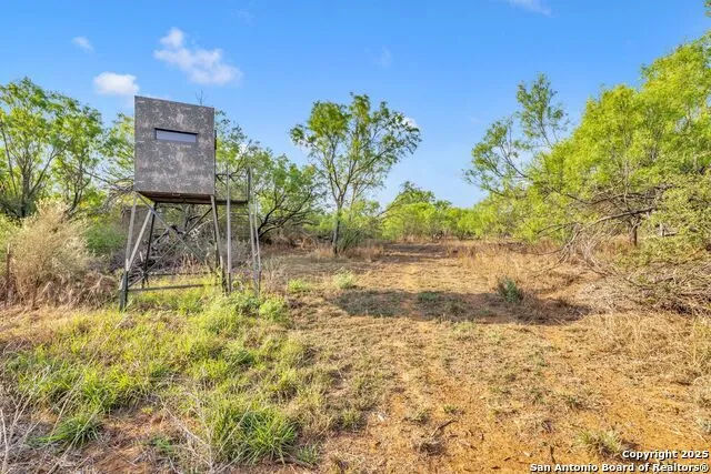 2654 Matthews Ranch Road Dilley, TX 78017