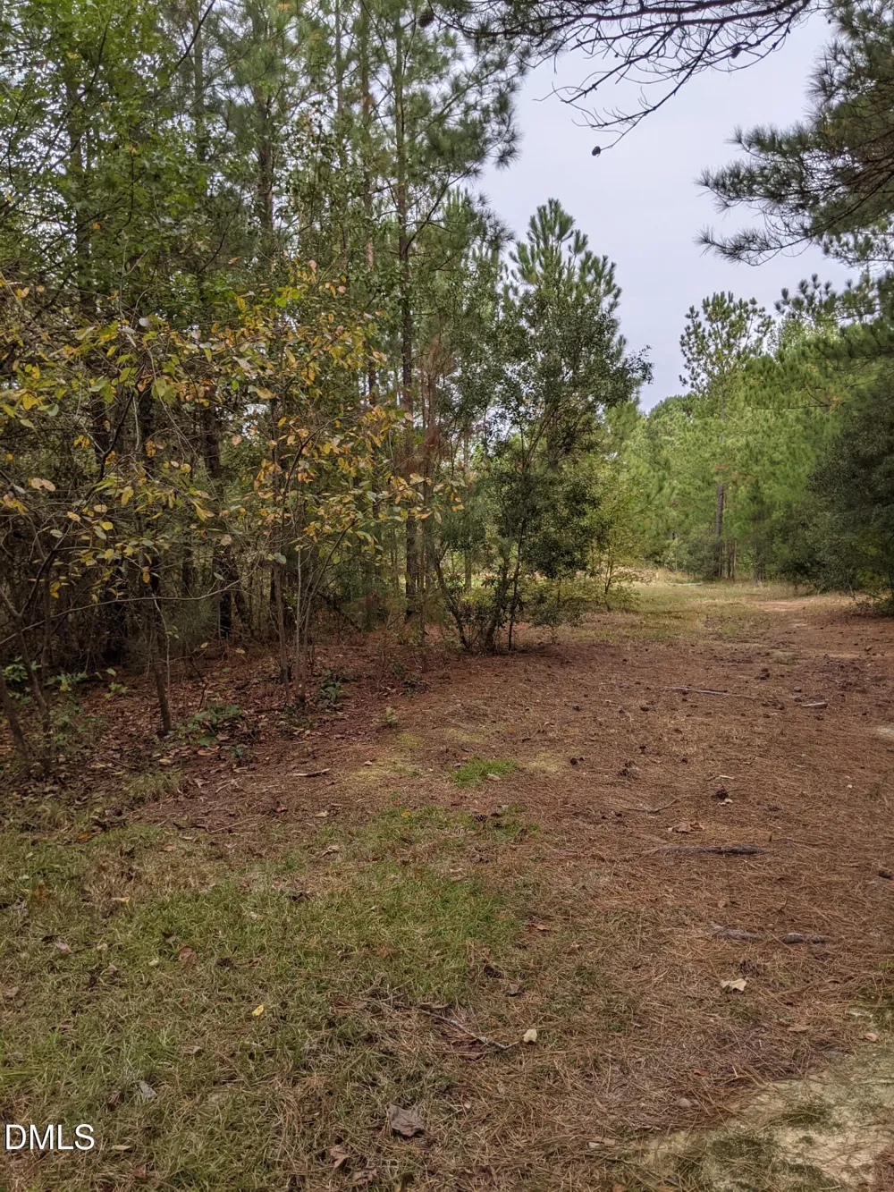 0 E E Governor Brandon Street Spring Lake, NC 28390
