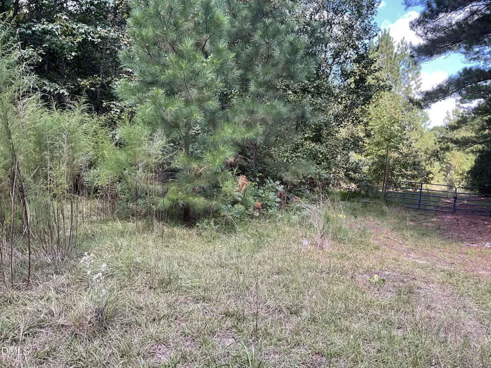 0 E E Governor Brandon Street Spring Lake, NC 28390