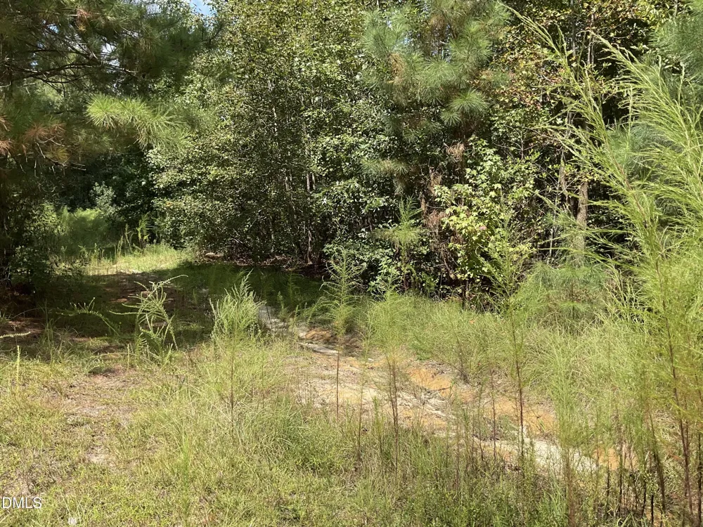 0 E E Governor Brandon Street Spring Lake, NC 28390