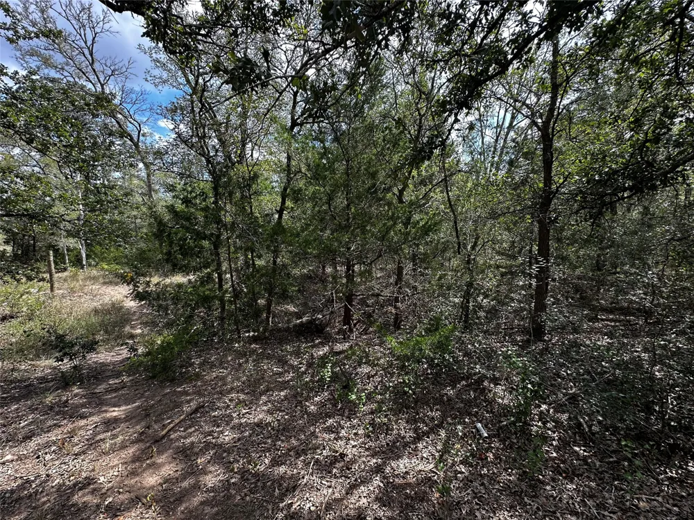 1501 Old Colony Line Road Dale, TX 78616