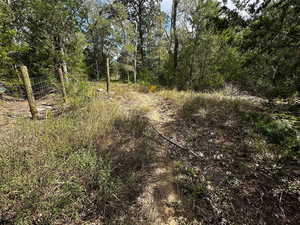 1501 Old Colony Line Road Dale, TX 78616