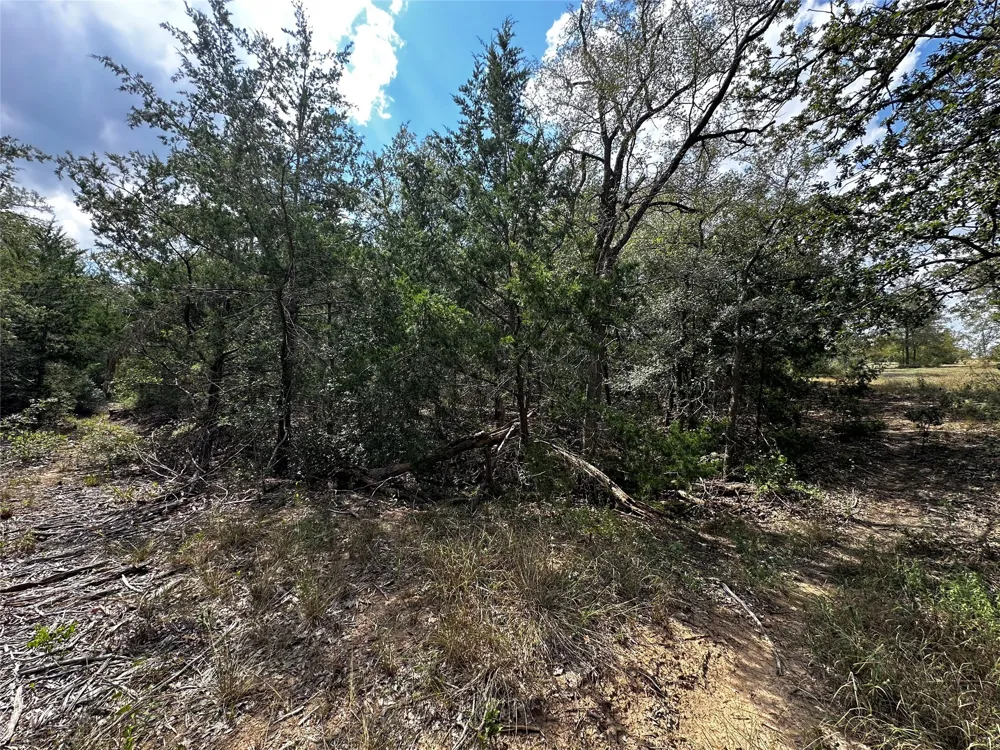 1501 Old Colony Line Road Dale, TX 78616