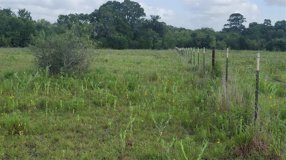 County Road 213 Anderson, TX 77830