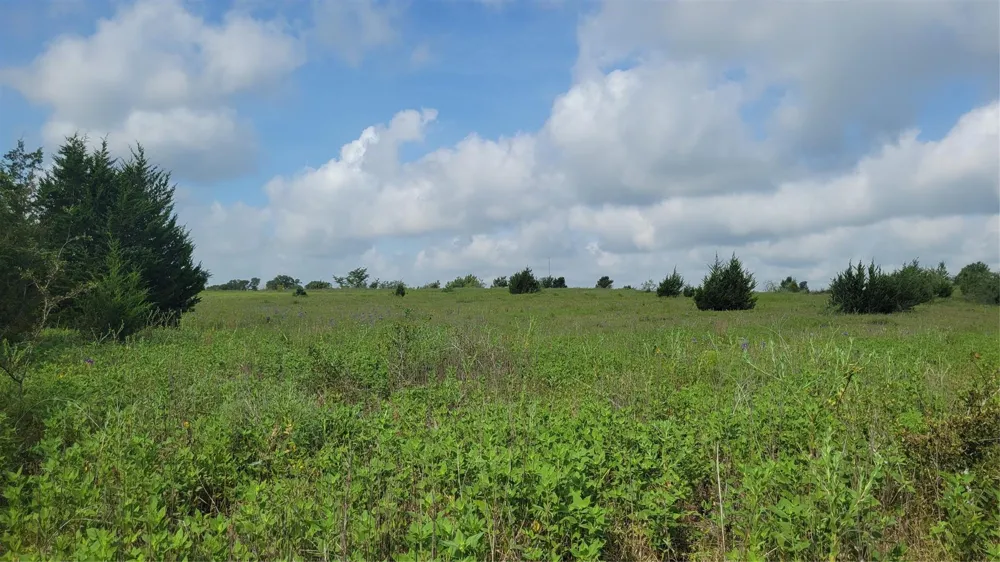 County Road 213 Anderson, TX 77830