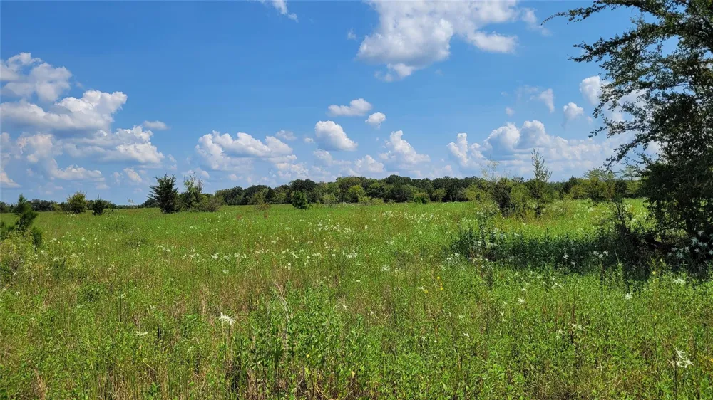 County Road 213 Anderson, TX 77830