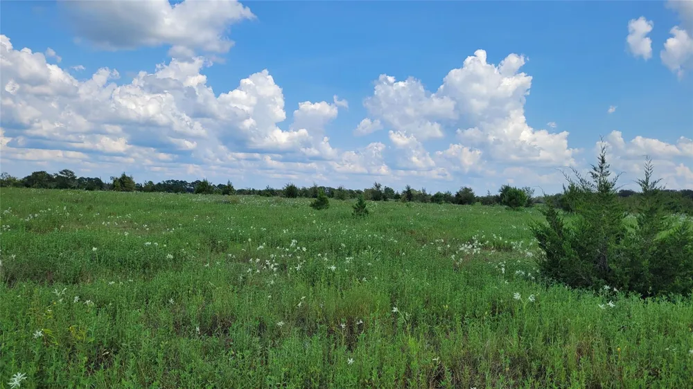County Road 213 Anderson, TX 77830