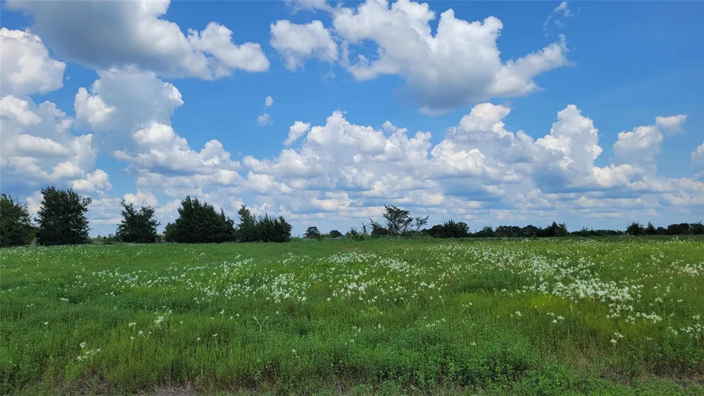 County Road 213 Anderson, TX 77830