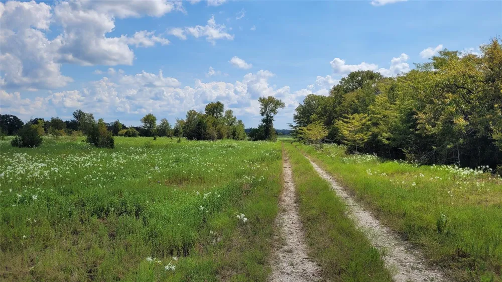 County Road 213 Anderson, TX 77830