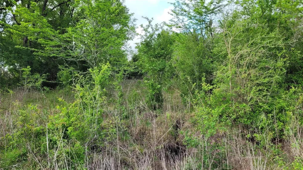 County Road 213 Anderson, TX 77830