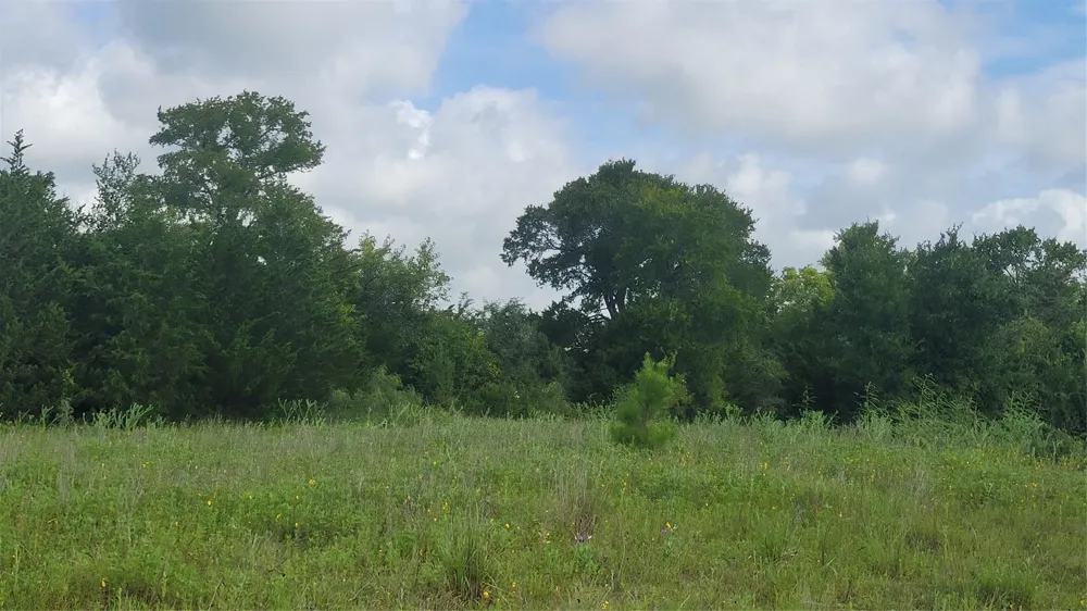 County Road 213 Anderson, TX 77830