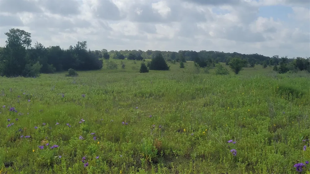 County Road 213 Anderson, TX 77830