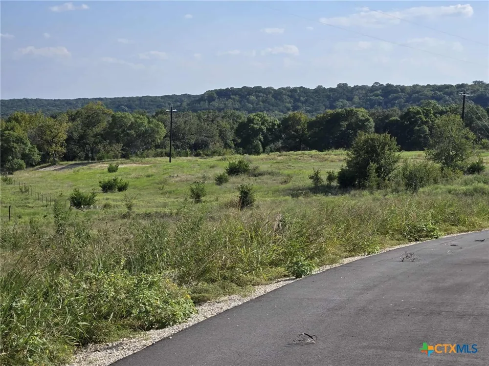 Big Bend Drive Oglesby, TX 76561