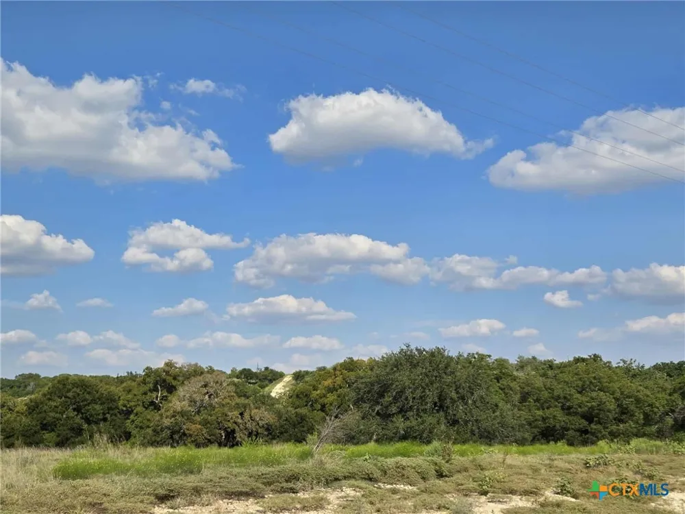 Big Bend Drive Oglesby, TX 76561