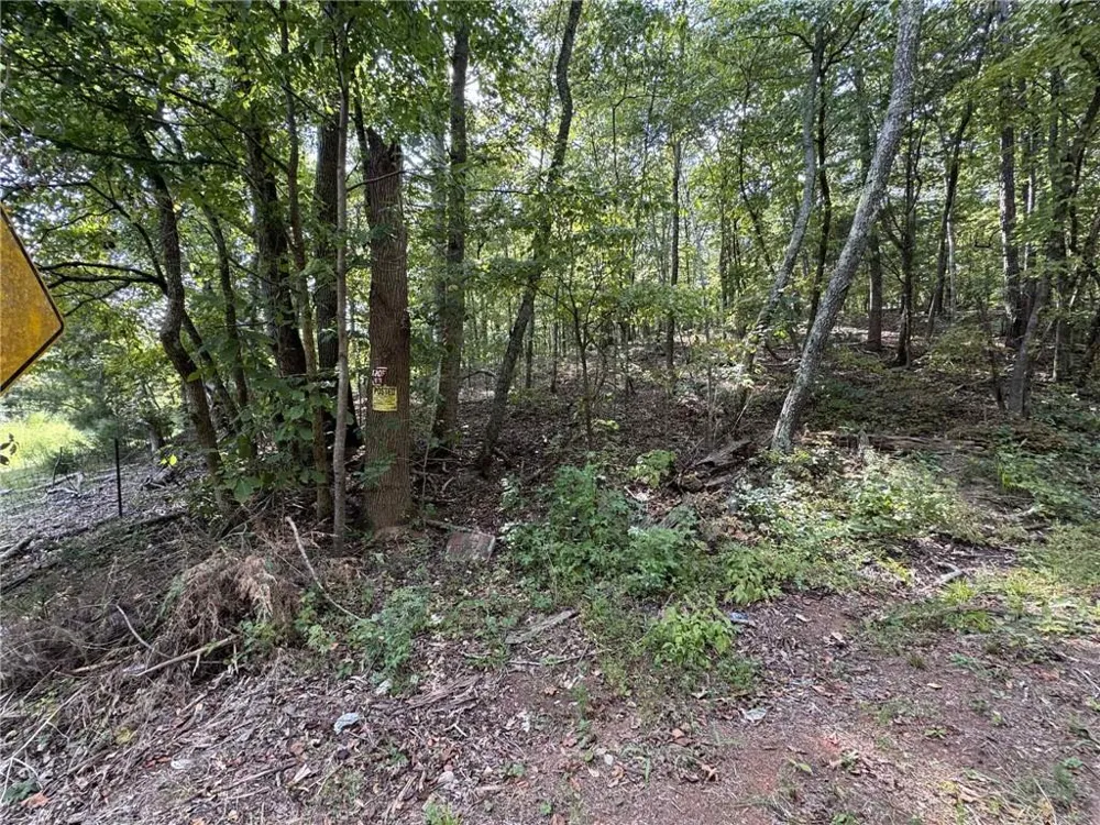 0 Cagle Road NE Fairmount, GA 30139