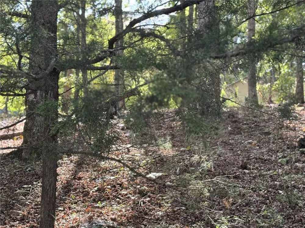 0 Cagle Road NE Fairmount, GA 30139