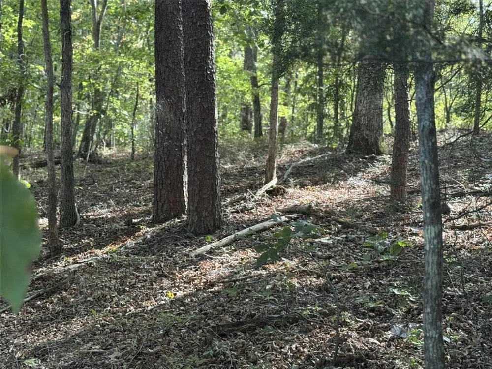 0 Cagle Road NE Fairmount, GA 30139