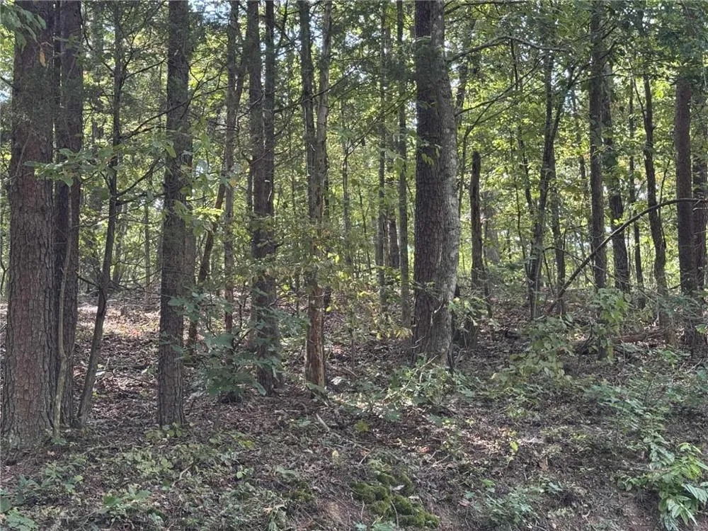 0 Cagle Road NE Fairmount, GA 30139