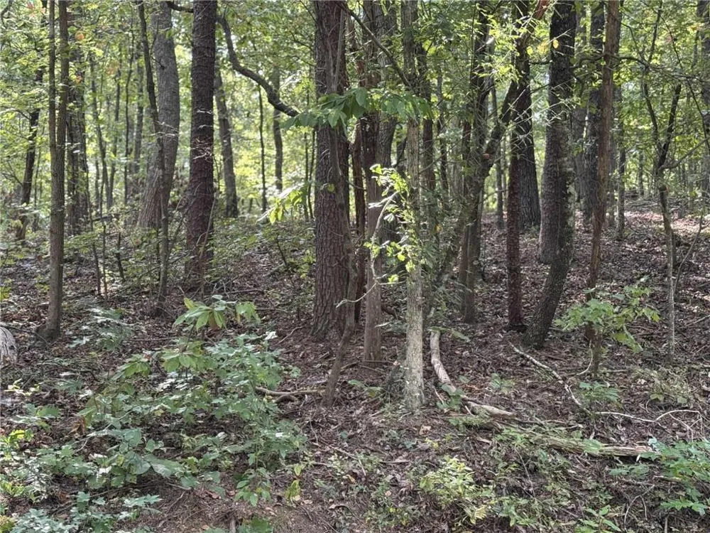 0 Cagle Road NE Fairmount, GA 30139