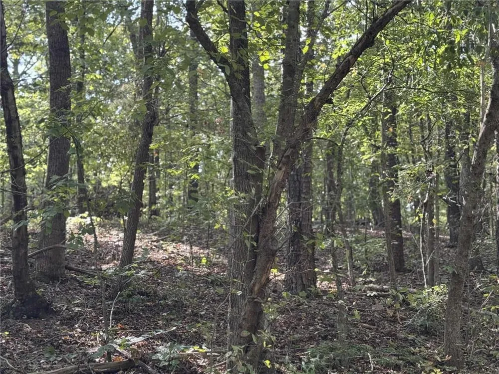 0 Cagle Road NE Fairmount, GA 30139