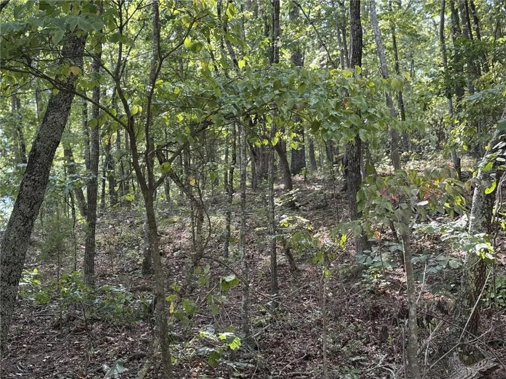 0 Cagle Road NE Fairmount, GA 30139