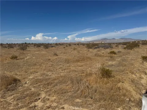 Mojave Tropico Rd