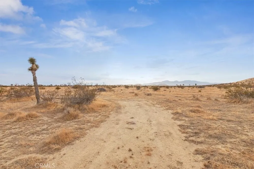 Mojave Tropico Rd Mojave, CA 93501
