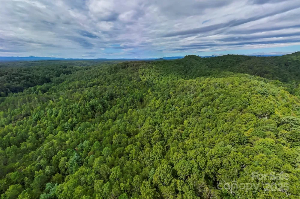 2636 Cheraw Road Lenoir, NC 28645