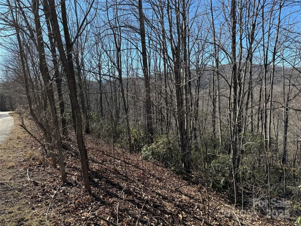239 Fuji Falls Trail #138 Black Mountain, NC 28711