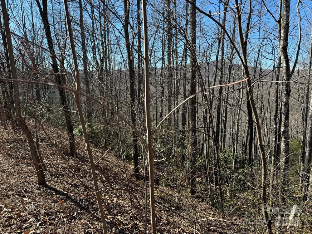 239 Fuji Falls Trail #138 Black Mountain, NC 28711