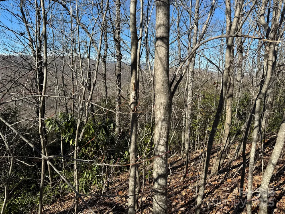 239 Fuji Falls Trail #138 Black Mountain, NC 28711