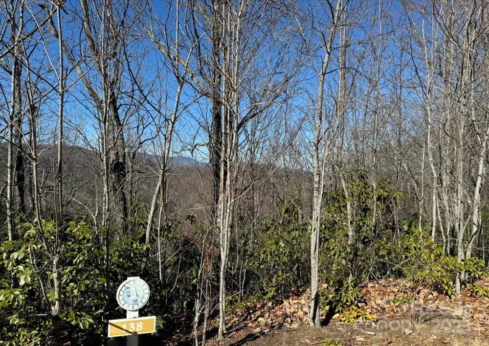 239 Fuji Falls Trail #138 Black Mountain, NC 28711