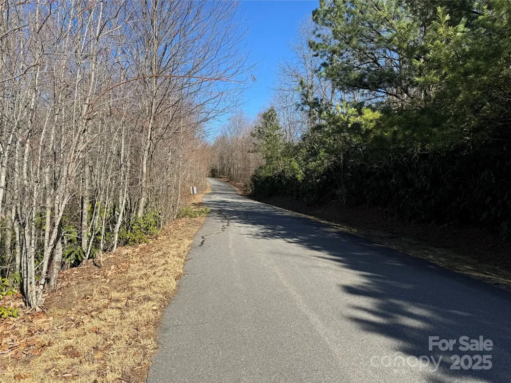 239 Fuji Falls Trail #138 Black Mountain, NC 28711