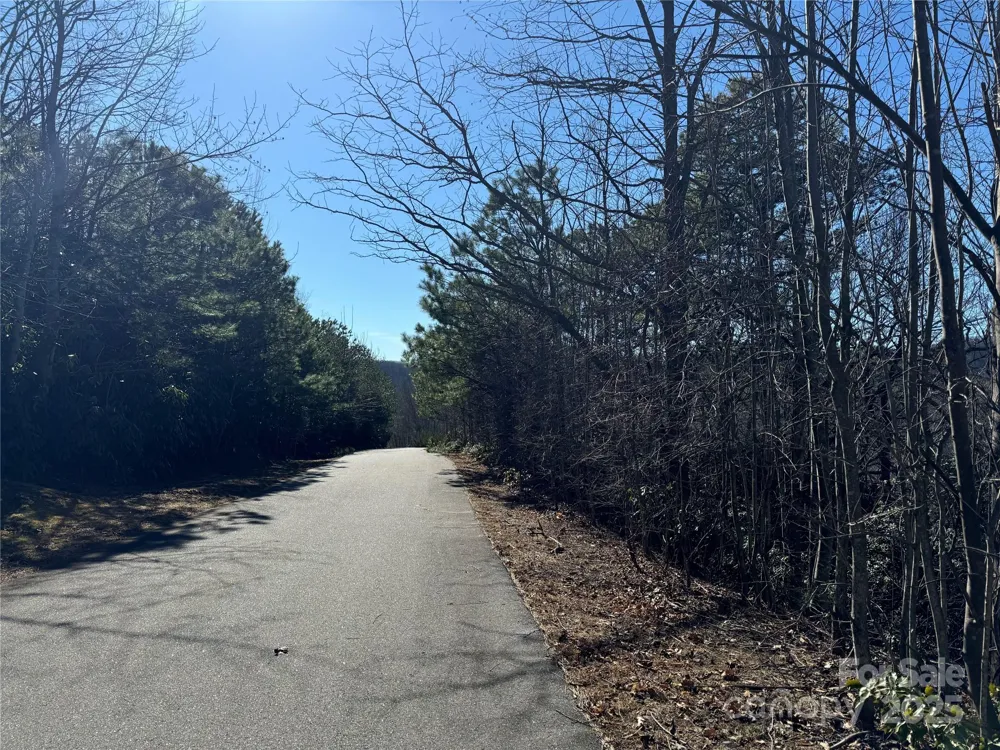 239 Fuji Falls Trail #138 Black Mountain, NC 28711