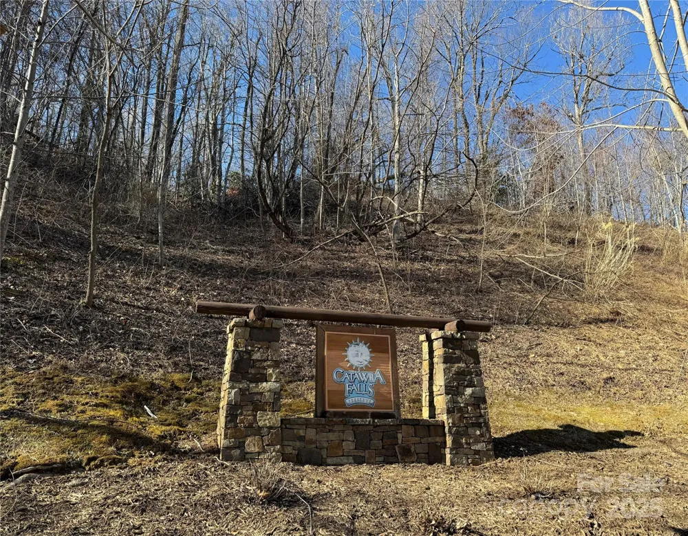 239 Fuji Falls Trail #138 Black Mountain, NC 28711