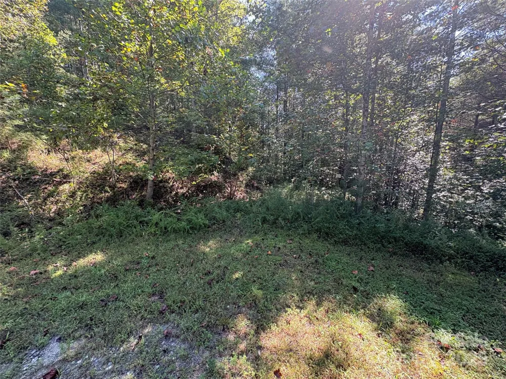 000 National Forest Drive Lenoir, NC 28645