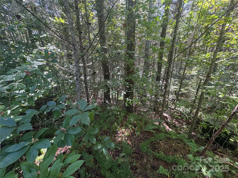 000 National Forest Drive Lenoir, NC 28645
