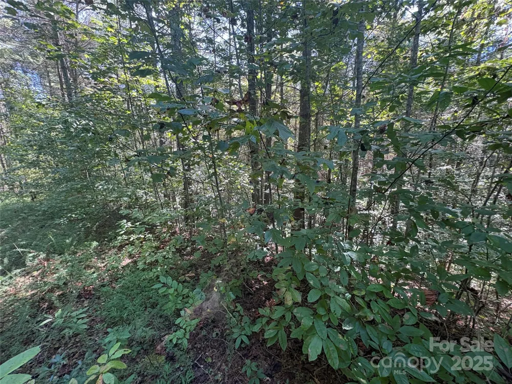 000 National Forest Drive Lenoir, NC 28645